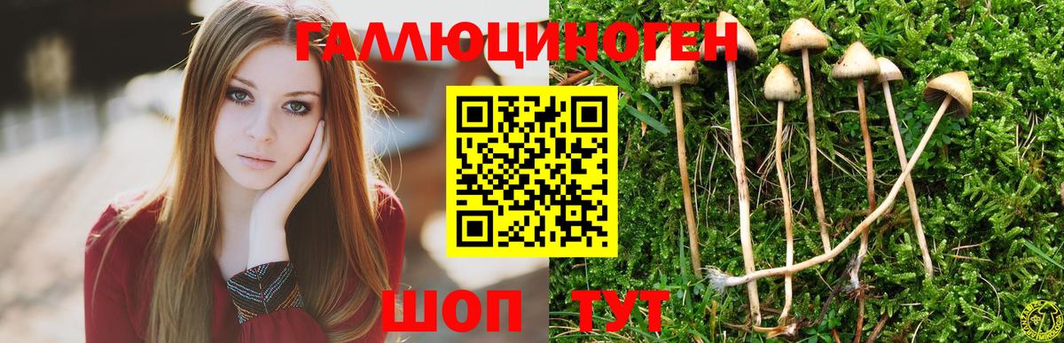 Псилоцибиновые грибы прущие грибы Десногорск