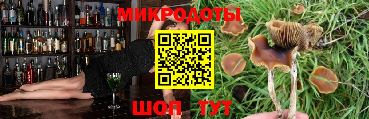Псилоцибиновые грибы GOLDEN TEACHER  Вход с VPN  Псилоцибиновые грибы MAGIC MUSHROOMS  Десногорск 