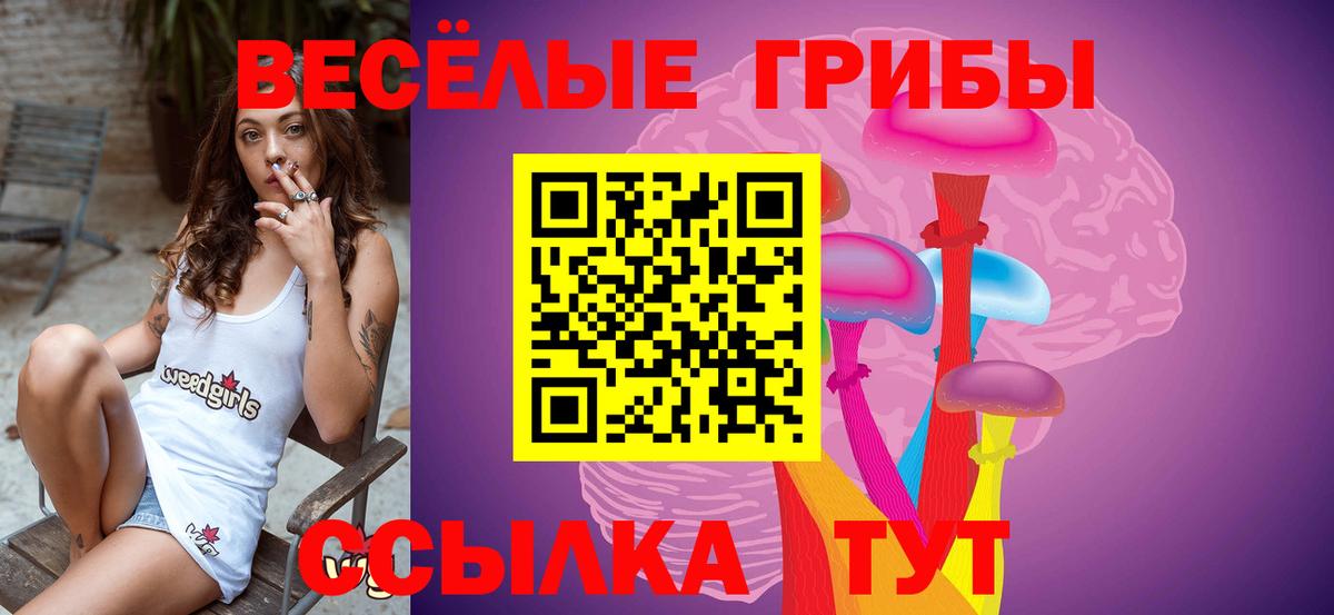 Меф   Cocaine  Десногорск  Вход с VPN  Метамфетамин  МДМА  ГАШИШ  A PVP СК   LSD-25  ГАШИШ  Конопля 